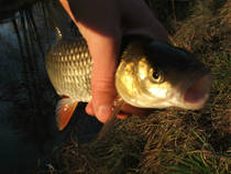 foto/diskuze/z_lovu/2013/th-img103637.jpg