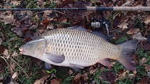 foto/diskuze/z_lovu/2013/th-img103785.jpg