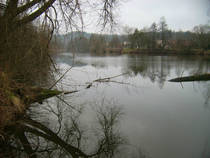 foto/diskuze/z_lovu/2013/th-img103820.jpg