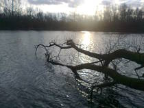 foto/diskuze/z_lovu/2013/th-img103862.jpg