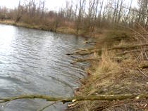 foto/diskuze/z_lovu/2013/th-img103864.jpg