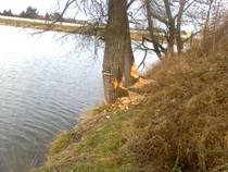 foto/diskuze/z_lovu/2013/th-img103865.jpg