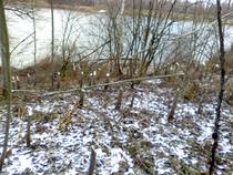 foto/diskuze/z_lovu/2013/th-img103867.jpg