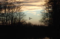 foto/diskuze/z_lovu/2013/th-img103917.jpg