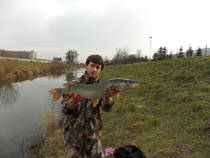 foto/diskuze/z_lovu/2013/th-img104027.jpg