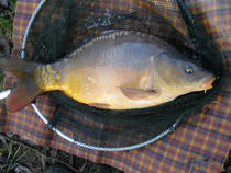 foto/diskuze/z_lovu/2013/th-img91289.jpg