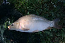 foto/diskuze/z_lovu/2013/th-img91313.jpg