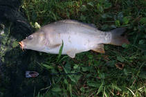 foto/diskuze/z_lovu/2013/th-img91314.jpg