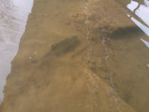 foto/diskuze/z_lovu/2013/th-img95856.jpg