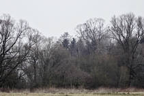 foto/diskuze/z_lovu/2013/th-img96089.jpg