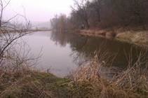 foto/diskuze/z_lovu/2013/th-img96616.jpg