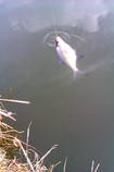 foto/diskuze/z_lovu/2013/th-img96629.jpg