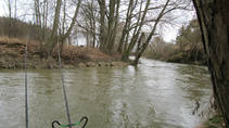 foto/diskuze/z_lovu/2013/th-img96634.jpg