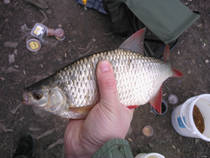 foto/diskuze/z_lovu/2013/th-img97360.jpg