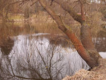 foto/diskuze/z_lovu/2013/th-img97395.jpg