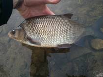 foto/diskuze/z_lovu/2013/th-img97409.jpg