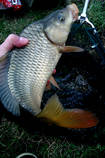 foto/diskuze/z_lovu/2013/th-img97526.jpg