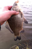 foto/diskuze/z_lovu/2013/th-img97528.jpg
