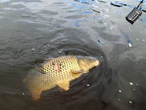 foto/diskuze/z_lovu/2013/th-img97542.jpg