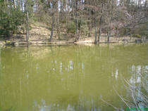 foto/diskuze/z_lovu/2013/th-img97555.jpg