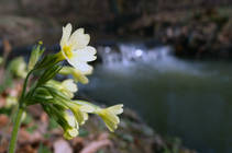 foto/diskuze/z_lovu/2013/th-img97646.jpg