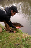 foto/diskuze/z_lovu/2013/th-img97674.jpg