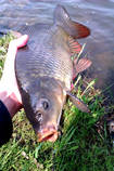 foto/diskuze/z_lovu/2013/th-img97712.jpg