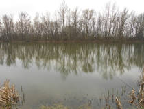 foto/diskuze/z_lovu/2013/th-img97784.jpg