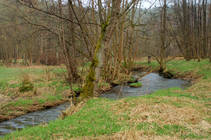 foto/diskuze/z_lovu/2013/th-img97801.jpg