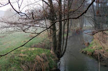 foto/diskuze/z_lovu/2013/th-img97802.jpg