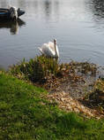foto/diskuze/z_lovu/2013/th-img97852.jpg