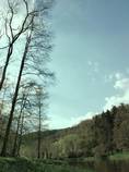 foto/diskuze/z_lovu/2013/th-img97880.jpg