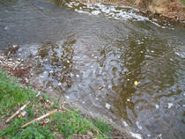 foto/diskuze/z_lovu/2013/th-img97888.jpg