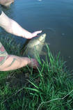 foto/diskuze/z_lovu/2013/th-img97922.jpg