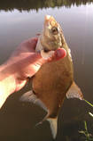 foto/diskuze/z_lovu/2013/th-img97923.jpg