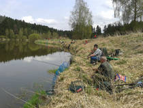foto/diskuze/z_lovu/2013/th-img97939.jpg