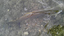 foto/diskuze/z_lovu/2013/th-img97978.jpg