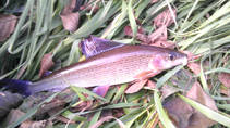 foto/diskuze/z_lovu/2013/th-img97979.jpg
