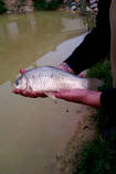foto/diskuze/z_lovu/2013/th-img98008.jpg