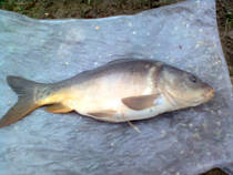 foto/diskuze/z_lovu/2013/th-img98023.jpg