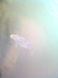 foto/diskuze/z_lovu/2013/th-img98024.jpg