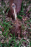 foto/diskuze/z_lovu/2013/th-img98034.jpg