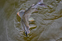 foto/diskuze/z_lovu/2013/th-img98100.jpg