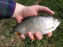 foto/diskuze/z_lovu/2013/th-img98125.jpg