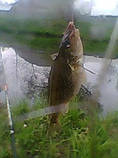 foto/diskuze/z_lovu/2013/th-img98143.jpg