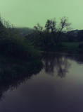 foto/diskuze/z_lovu/2013/th-img98152.jpg