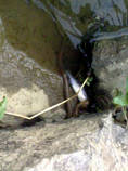 foto/diskuze/z_lovu/2013/th-img98276.jpg