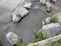 foto/diskuze/z_lovu/2013/th-img98277.jpg