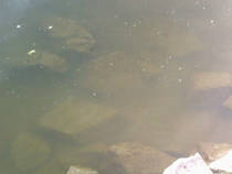 foto/diskuze/z_lovu/2013/th-img98278.jpg