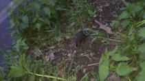foto/diskuze/z_lovu/2013/th-img98284.jpg